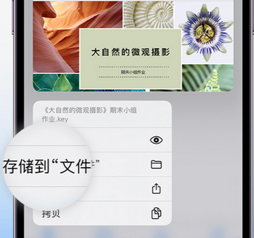 龙山apple维修中心分享iPhone文件应用中存储和找到下载文件