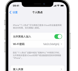 龙山apple服务站点分享iPhone上个人热点丢失了怎么办 