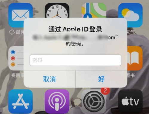 龙山苹果设备维修分享无故多次要求输入AppleID密码怎么办 