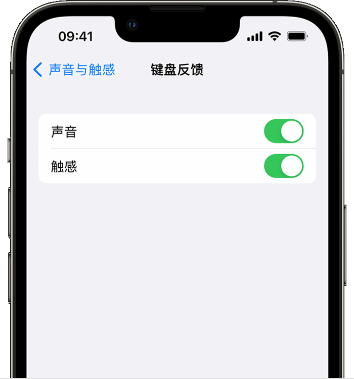 龙山苹果14维修店分享如何在 iPhone 14 机型中使用触感键盘 