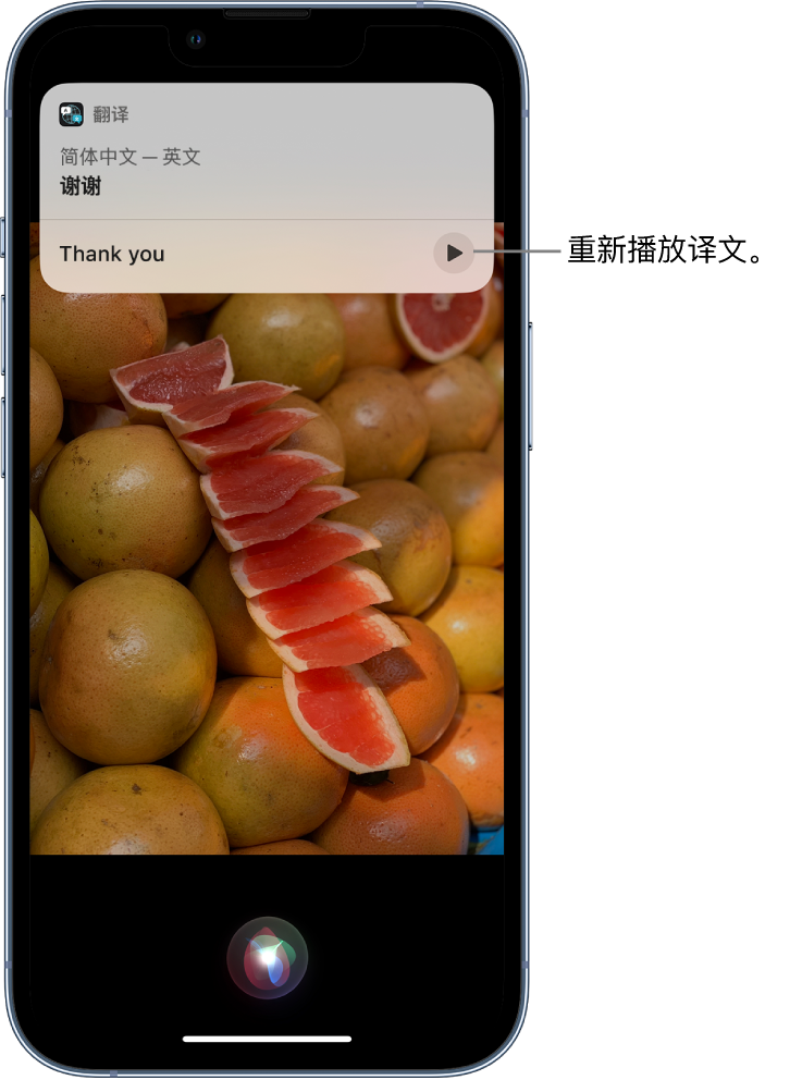 龙山苹果14维修分享 iPhone 14 机型中使用 Siri：了解 Siri 能帮你做什么 