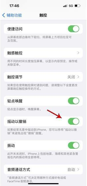 龙山苹果手机维修分享iPhone手机如何设置摇一摇删除文字 