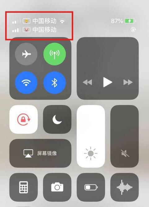 龙山苹果手机维修分享为 iPhone 12 双卡设置标签 