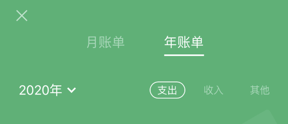龙山苹果手机维修分享如何在 iPhone 上查看支付宝和微信年支出账单 