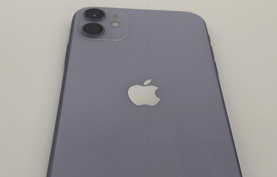 龙山苹果11系统维修分享iPhone11手机系统崩溃无法开机如何解决